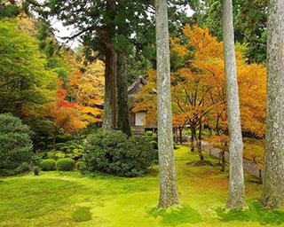 自然豊かな京都大原に佇む名刹「三千院」の見どころを徹底ガイド！行事や季節限定のお守り情報もチェック【コロナ対策情報付き】