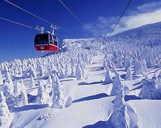 【コロナ対策情報付き】蔵王温泉スキー場を遊び尽くす！極上のパウダースノーを楽しめる、東北最大級のスノーリゾート