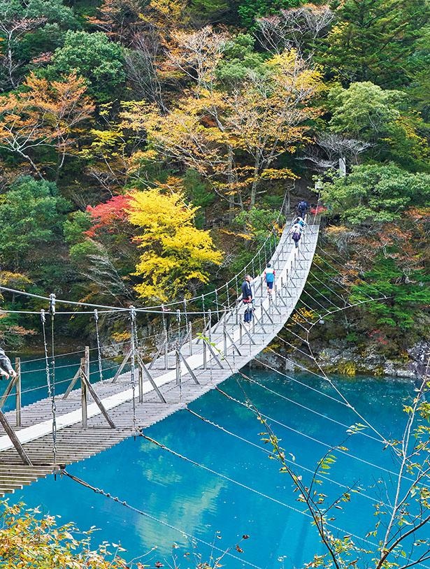 画像2 10 夢のつり橋から紅葉を一望 ジビエやsl列車 温泉も満喫できる 静岡県 寸又峡ドライブコース ウォーカープラス
