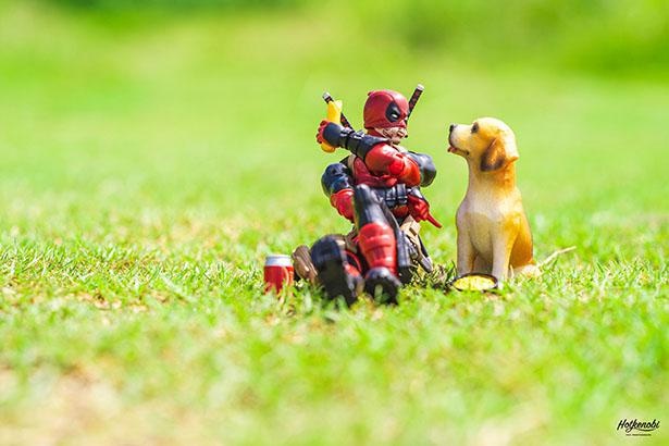「動物とヒーロー」(4/4)