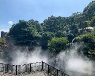 都会で楽しむ“奇跡の絶景” ホテル椿山荘東京に現れた「東京雲海」