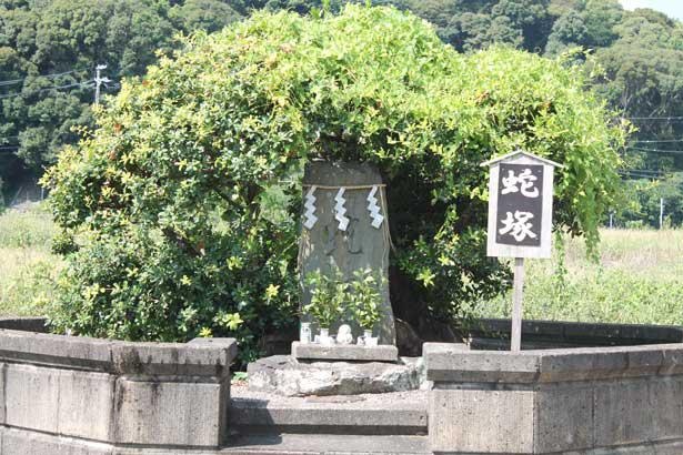 清姫を供養する蛇塚。道成寺から西へ徒歩2分ほどの場所にひっそりと立つ/蛇塚