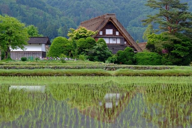 白川郷合掌造り集落のなかで最大規模を誇る「和田家住宅」