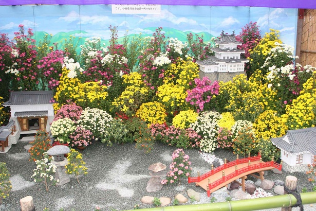 【写真】小田原城のミニチュアを小菊で飾った総合花壇のできばえは見事！