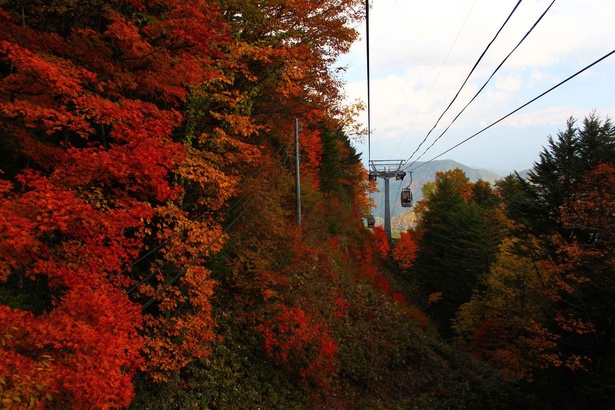 この季節ならではの素晴らしい紅葉も楽しめる