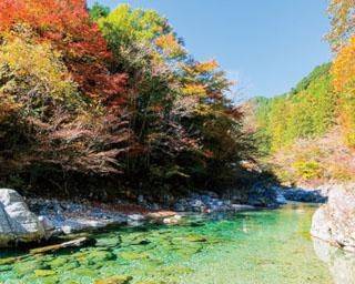 東海エリア 奇跡の絶景に出会う旅 ウォーカープラス