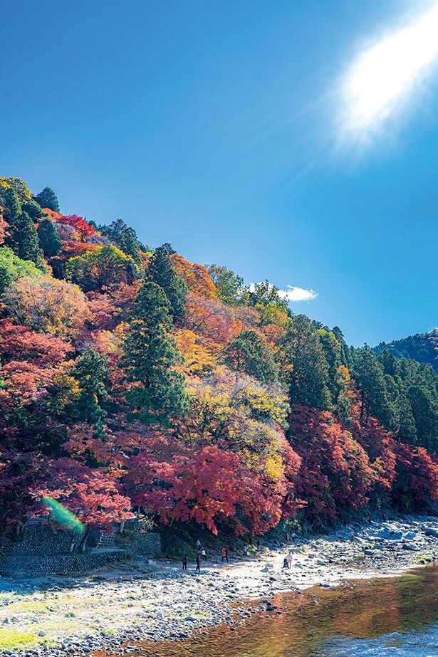 逆さモミジも見ることができる香嵐渓の紅葉は東海エリアを代表する名所 / 香嵐渓
