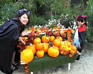 巨大カボチャの重さを当てよう！滋賀県大津市で「ハロウィンフェスタ」開催中