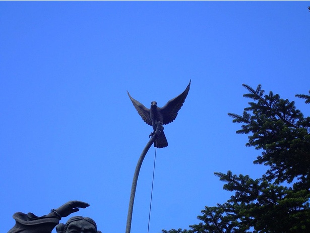 野鳥の姿を観察できることも