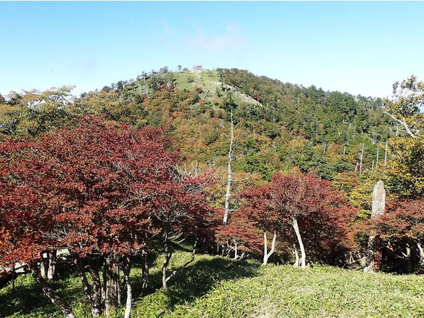 10月下旬ごろまでは紅葉も楽しめる