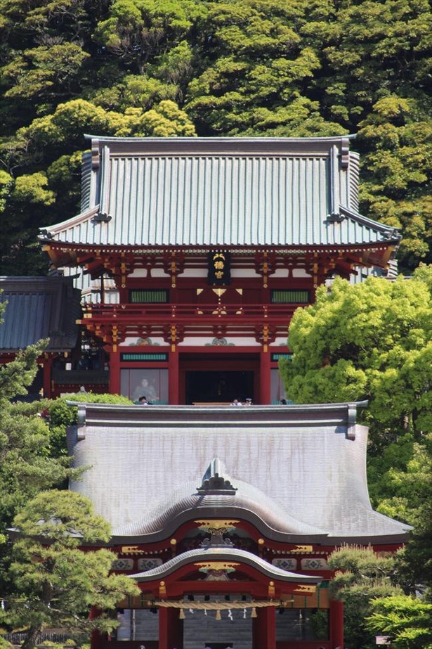 鶴岡八幡宮の楽しみ方ガイド 鎌倉観光のスタート地点にぴったり 恋愛のパワースポットも コロナ対策情報付き ウォーカープラス