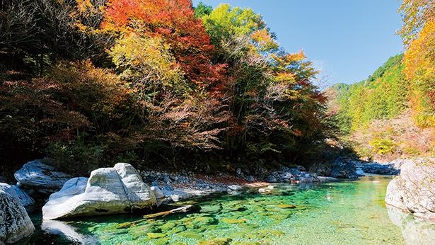 輝く清流と紅葉の美しすぎるコラボ 阿寺渓谷をめぐる長野県大桑村のドライブコース ウォーカープラス