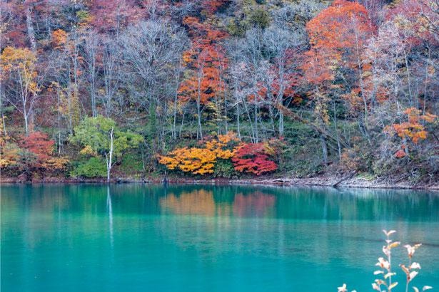 天候によって水の色が変化するのも特徴 / 白水湖