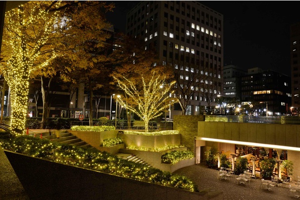 新宿野村ビルは周囲の木々がイルミネーションで華やかにライトアップ