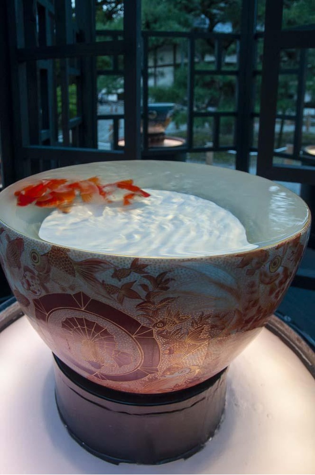 九谷焼の鉢を使った九谷金魚品評。上からは金魚、横からは色鮮やかな九谷焼と贅沢な楽しみ方ができる