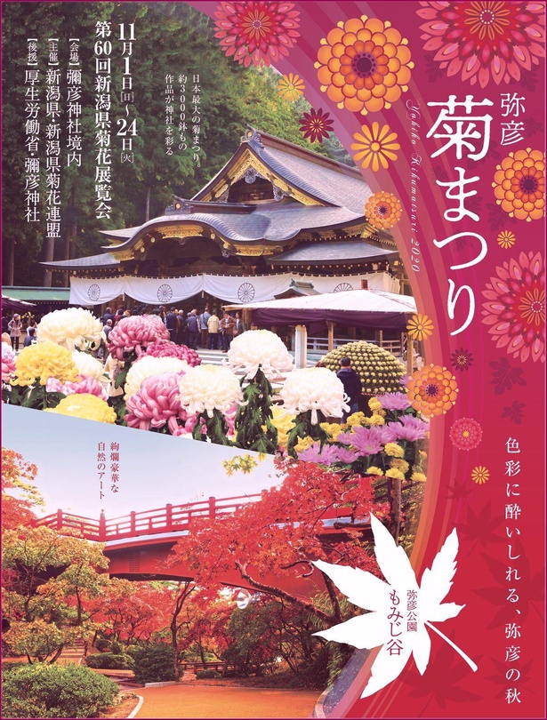 「弥彦菊まつり」ポスター