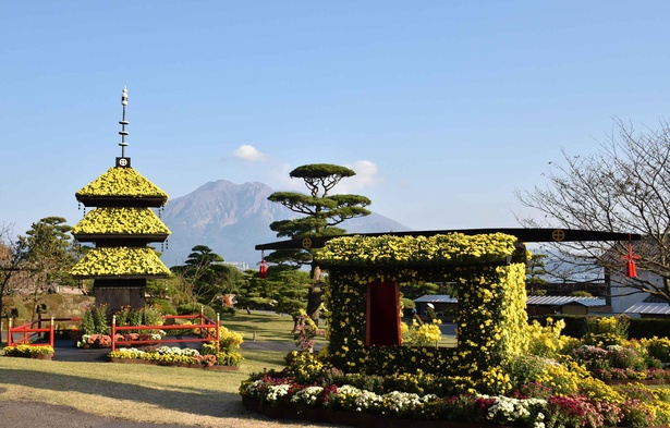 絶景の仙巌園には写真映えするポイントがたくさんある
