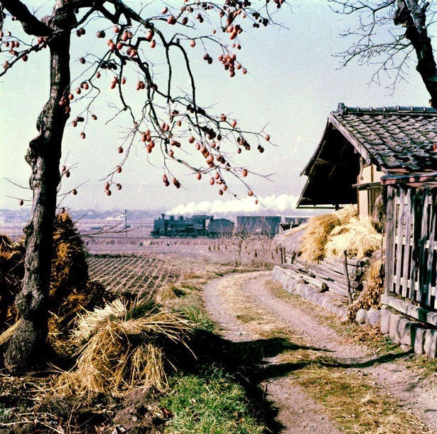 初冬の佐久平 C56形。1970年(昭和45年)12月。小海線 太田部～龍岡城