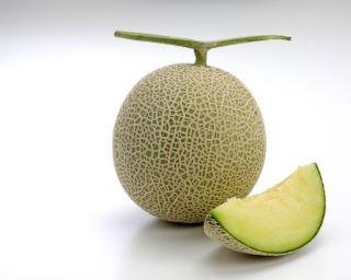 都内の人気カフェと“高級メロン”がコラボ　10月30日まで「HOKOTA MELON WEEK」開催中