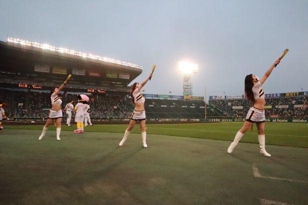 勝利時は「阪神タイガースの歌」(通称「六甲おろし」)を踊る