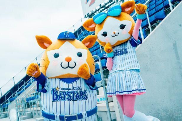 ベイスターズのマスコット「DB.スターマン」と「DB.キララ」(ともに横浜生まれ横浜育ち)