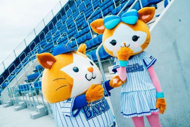 DB.スターマンはDB.キララに想いを寄せているみたい...