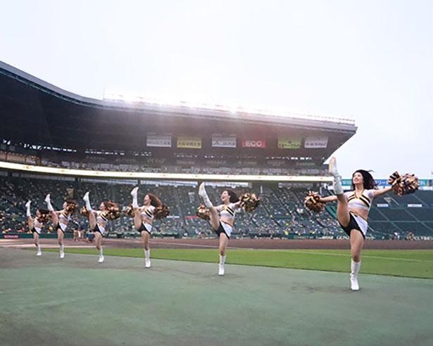 選手の中で誰か1人だけTigersGirlsに入るとしたら？「オネルキ・ガルシア投手」
