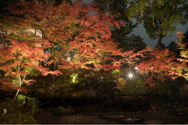 京都 長岡京市で 密 を避けた紅葉巡り 地元の名物グルメも堪能 紅葉名所 ウォーカープラス