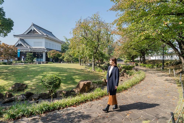 もみじやサクラが紅葉する秋の公園も美しい(写真は10月20日に撮影)/勝竜寺城公園