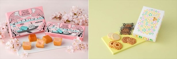 【写真を見る】パッケージは湖畔でボート遊びを楽しむ画に