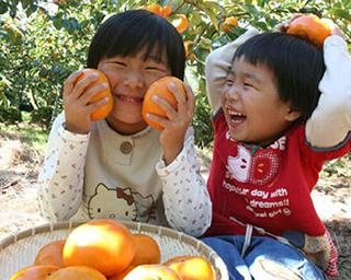 熟したミカンと柿を味わおう！晩秋から冬の果物狩りにおすすめな福岡の観光農園11選