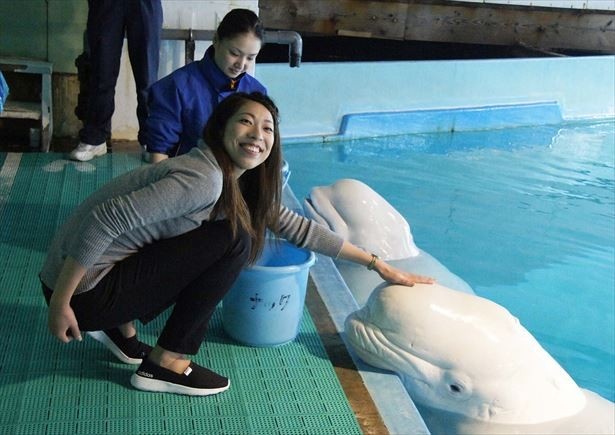 記念写真がプレゼントされる「ベルーガタッチ」