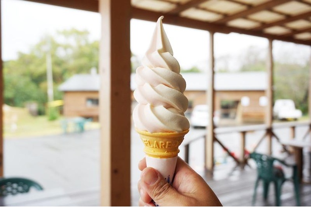 ソフトクリームは週替わりのフレーバーを楽しめる / 香珠子五島椿物産館