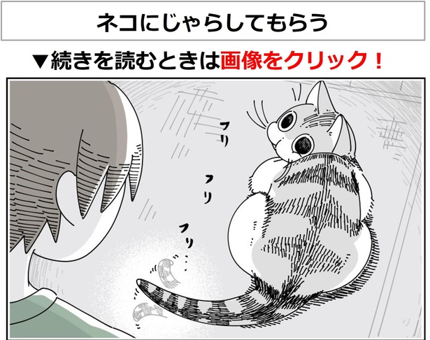 猫好きが うん うん と頷く 猫あるある漫画 がsnsで人気 これ 読んだら止まらんやつや ウォーカープラス