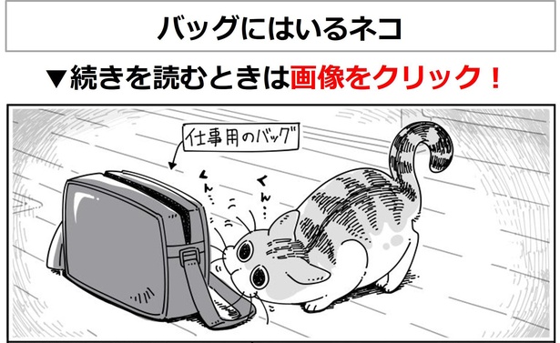 画像10 193 猫好きが うん うん と頷く 猫あるある漫画 がsnsで人気 これ 読んだら止まらんやつや ウォーカープラス