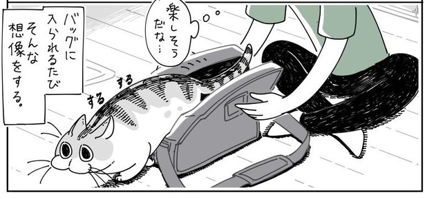 「バッグにはいるネコ」06
