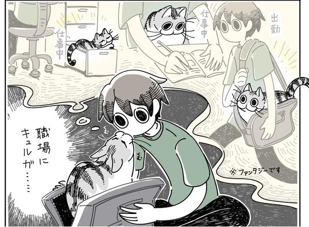 「バッグにはいるネコ」05