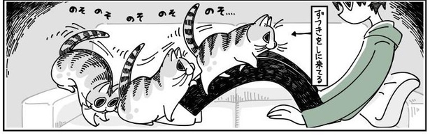 「ネコのずつき攻撃」02