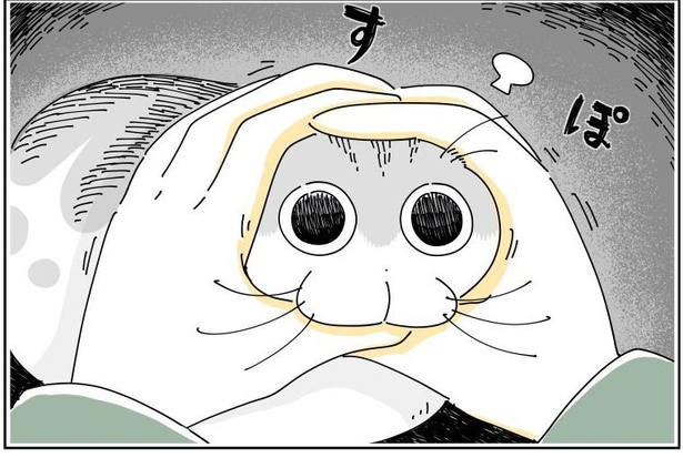 「ネコのずつき攻撃」05