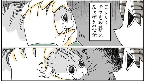 猫好きが うん うん と頷く 猫あるある漫画 がsnsで人気 これ 読んだら止まらんやつや ウォーカープラス