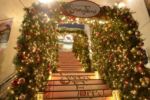 クリスマスイルミトンネル(写真は2019年のもの)