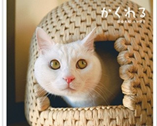 「岩合光昭の ねこ」グッズとフレーム切手セットの第2弾が登場