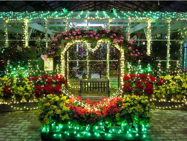 「幸せの椅子」に使われるメインの花のゼラニウムの花言葉は「真実の愛」