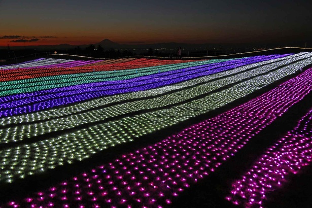 闇夜に輝く光の花々が訪れた人達をやさしく包み込む「光の花畑」
