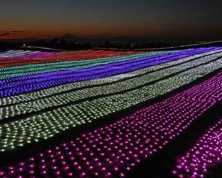 光と絶景のコラボレーション！千葉県のマザー牧場でイルミネーション「光の花園」が開催中