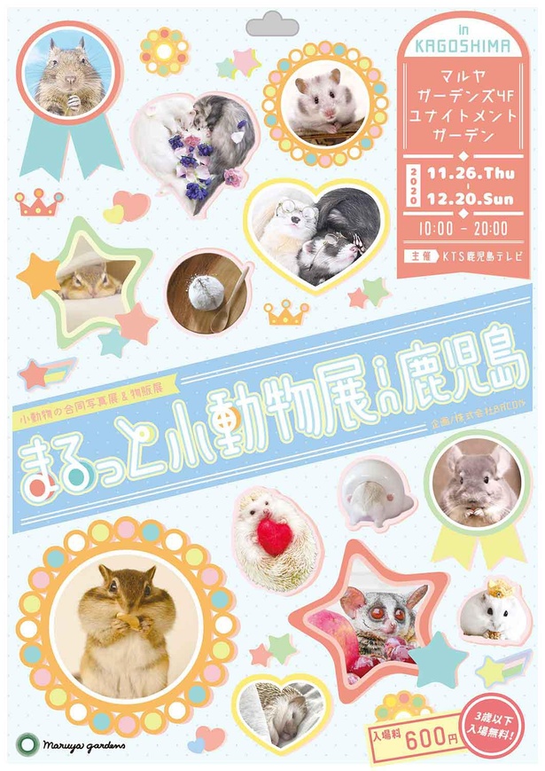 「まるっと小動物展 in 鹿児島」チラシ