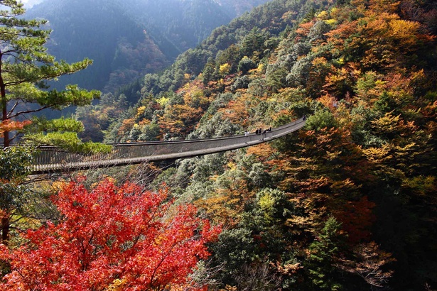 画像2 2 熊本県八代市の五家荘で県内屈指の紅葉が見頃 ウォーカープラス