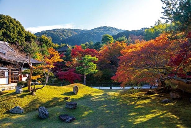臥龍池、開山堂がある小堀遠州作の庭園を紅葉が埋め尽くす。時間を忘れて眺めてしまうほどの絶景/高台寺