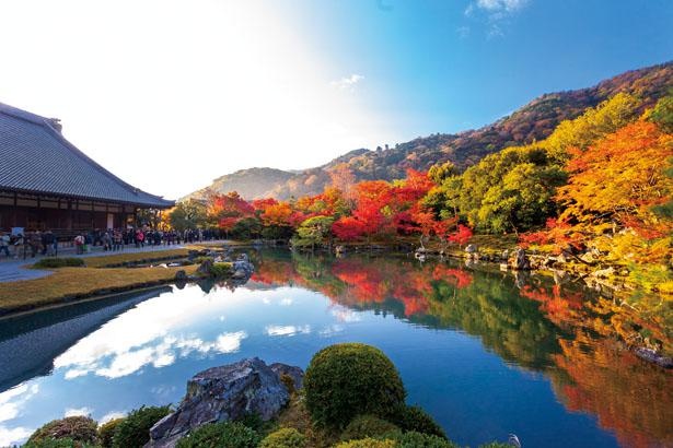 見るべき絶景は曹源池庭園。嵐山を代表する錦秋の風景名庭園が紅葉で華やかに/天龍寺