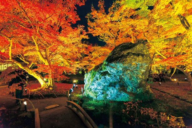 見るべき紅葉は獅子吼の庭。春と秋だけ一般公開される巨岩と紅葉を照らす屈指の秋景色/天龍寺塔頭 宝厳院